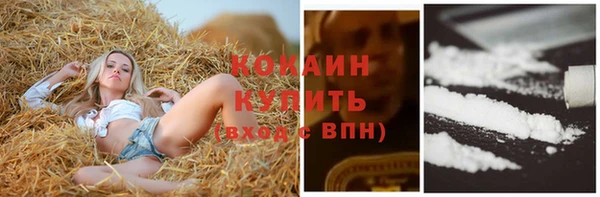 сатива Тында