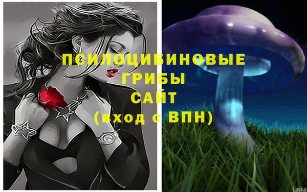 сатива Тында