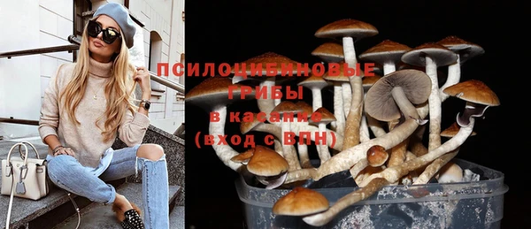 марихуана Тайга