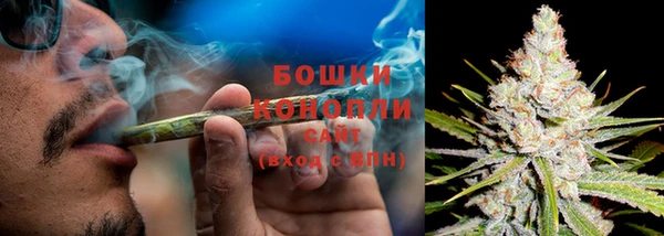 сатива Тында